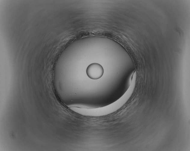 X0000113551345200910091255