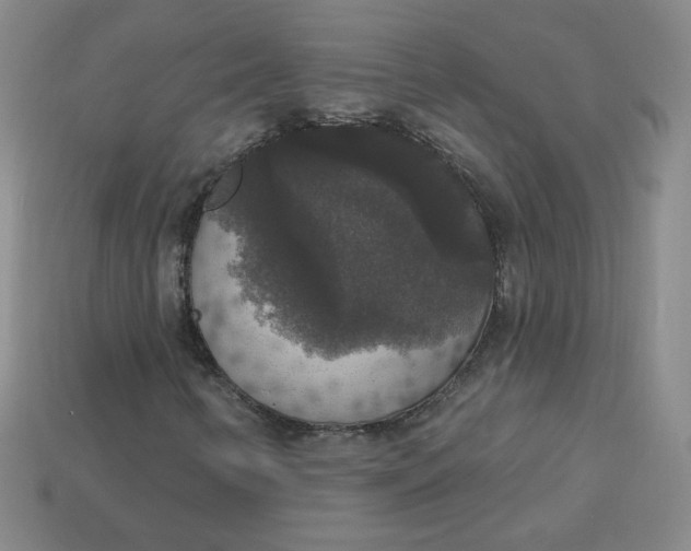 X0000113551346200910091255