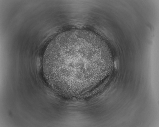 X0000113551347200910091255