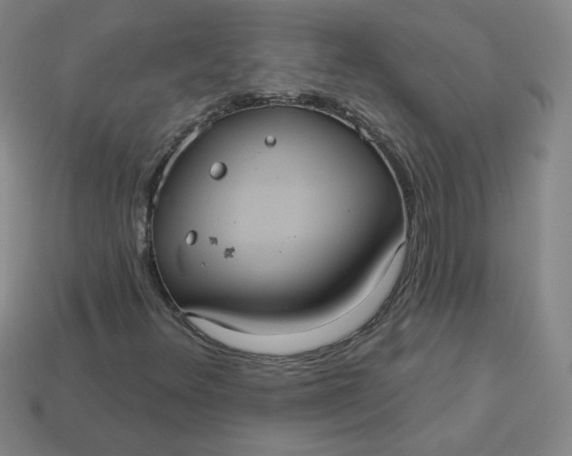 X0000113551348200910091255