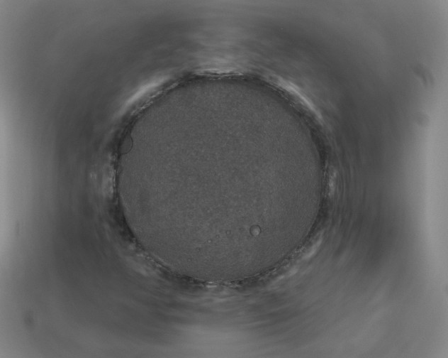 X0000113551350200910091255