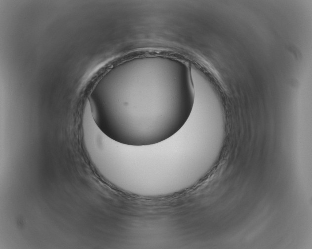 X0000113551352200910091255