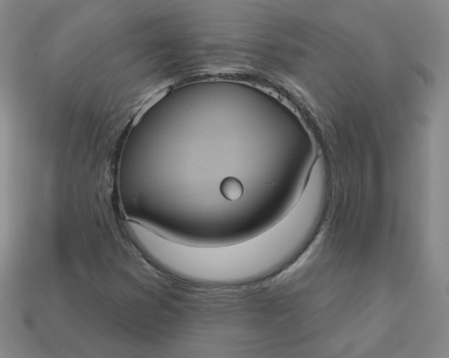 X0000113551353200910091255