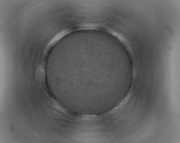 X0000113551354200910091255