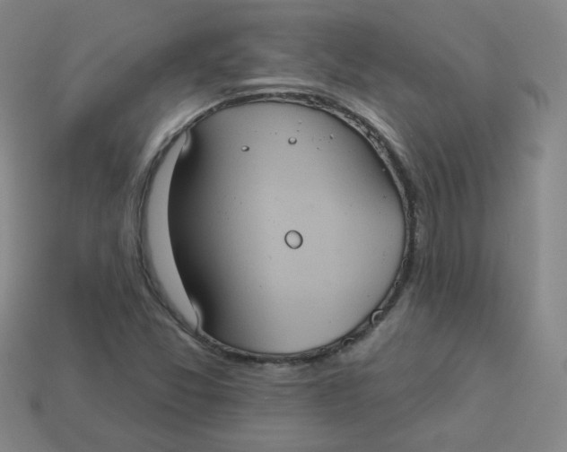 X0000113551357200910091255