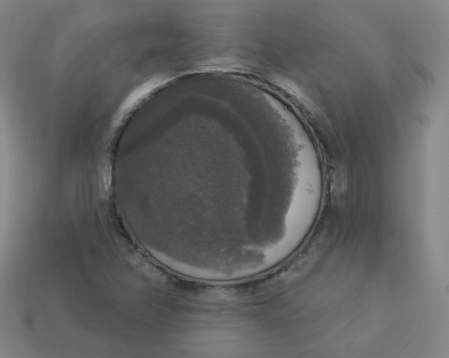 X0000113551358200910091255