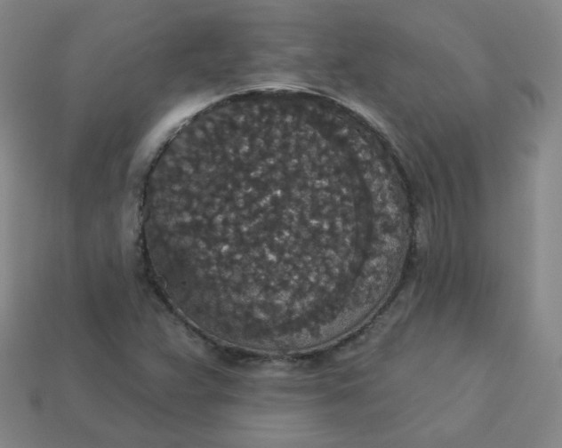 X0000113551359200910091255