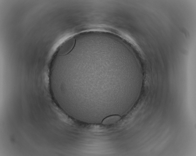 X0000113551360200910091255