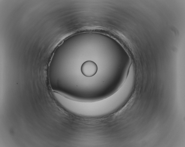 X0000113551361200910091255