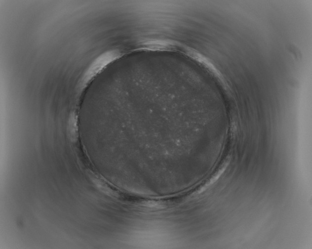 X0000113551362200910091255