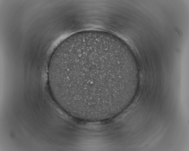 X0000113551363200910091255