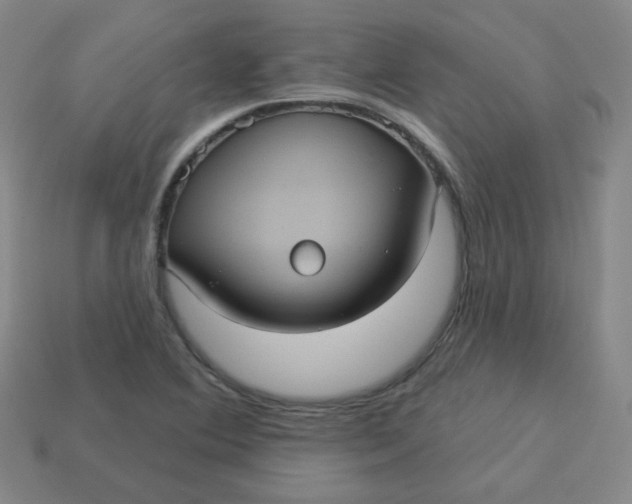 X0000113551364200910091255