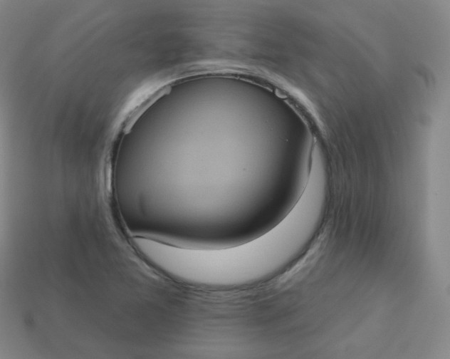 X0000113551365200910091255