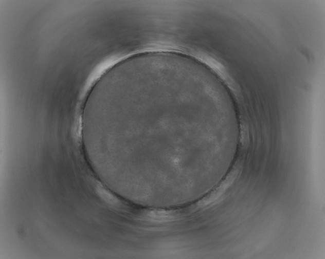 X0000113551366200910091255