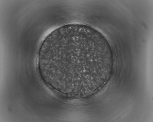 X0000113551367200910091255