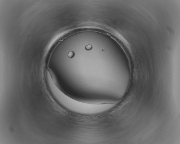 X0000113551368200910091255