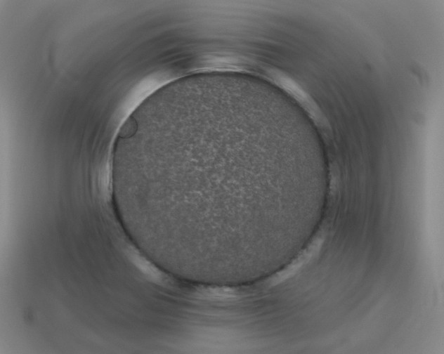 X0000113551370200910091255