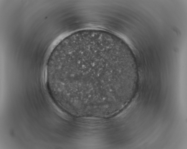 X0000113551371200910091255