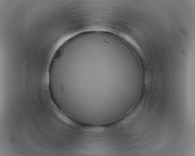 X0000113551372200910091255