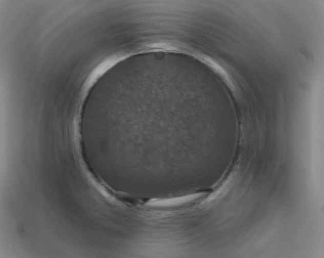 X0000113551373200910091255