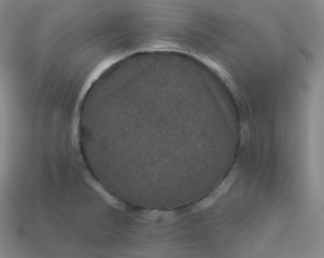 X0000113551374200910091255