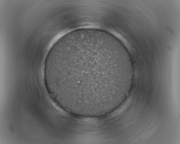 X0000113551375200910091255