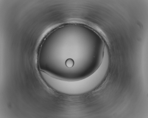 X0000113551376200910091255