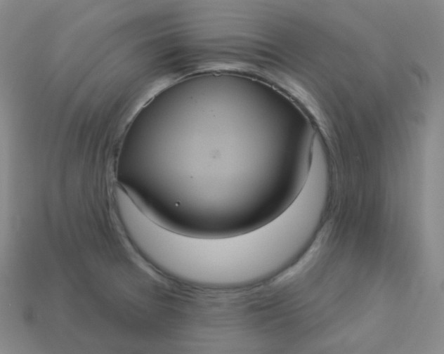 X0000113551377200910091255