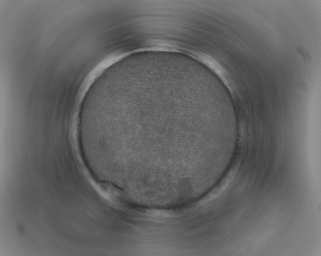 X0000113551379200910091255