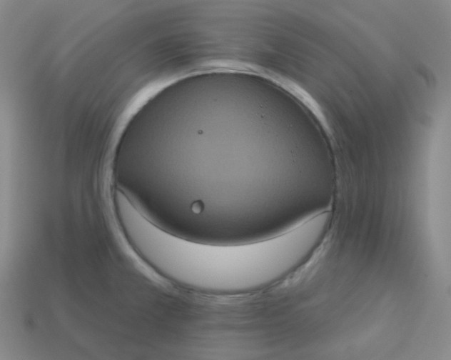 X0000113551381200910091255