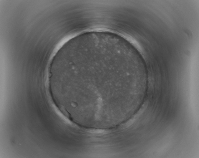 X0000113551382200910091255