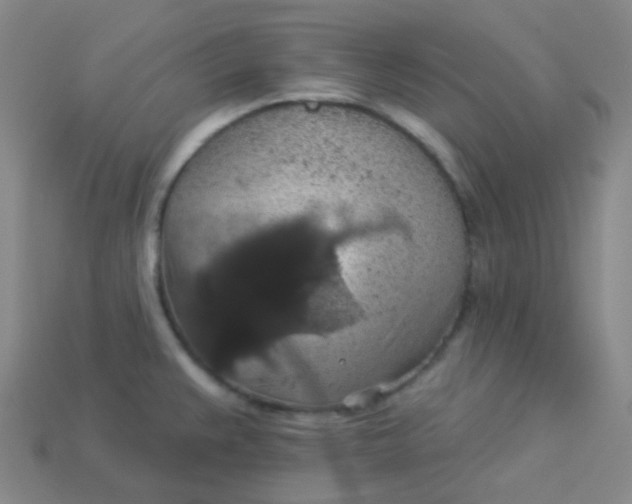 X0000113551383200910091255