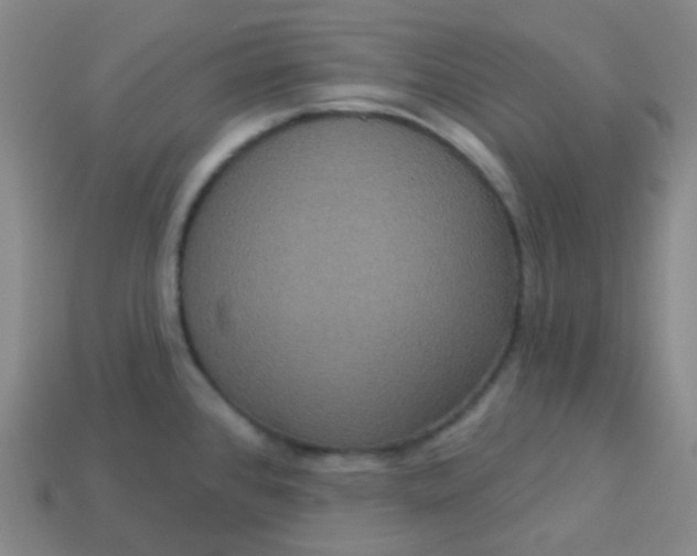 X0000113551384200910091255