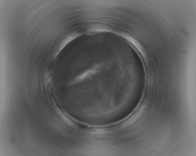 X0000113551385200910091255