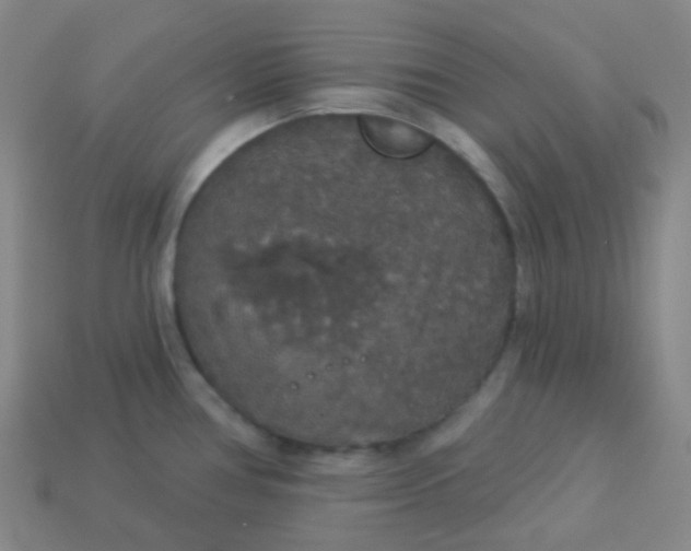 X0000113551386200910091255