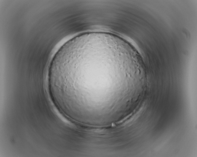 X0000113551387200910091255