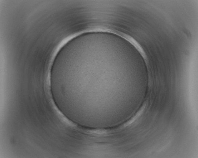 X0000113551388200910091255