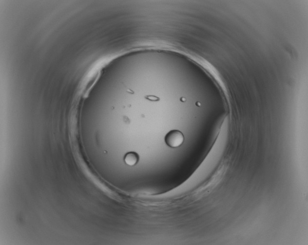 X0000113551389200910091255