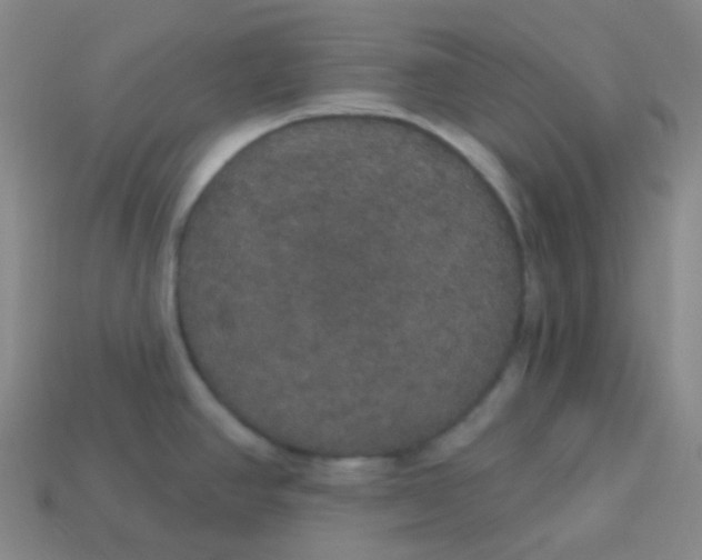 X0000113551390200910091255