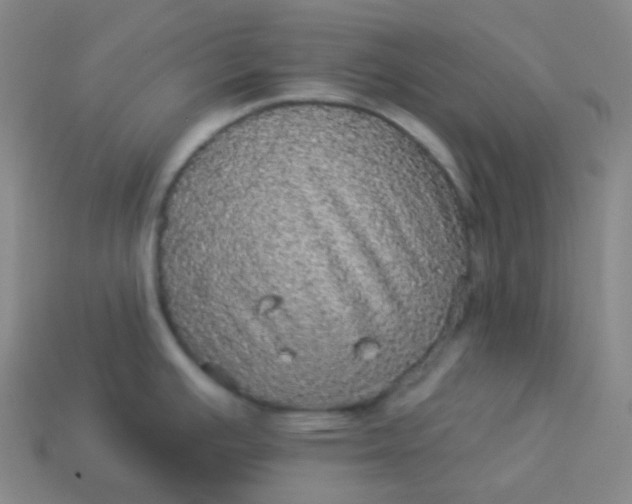 X0000113551391200910091255