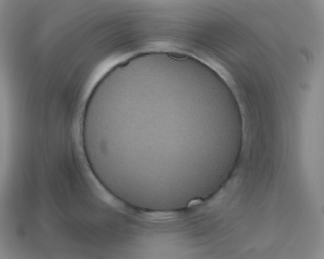 X0000113551392200910091255