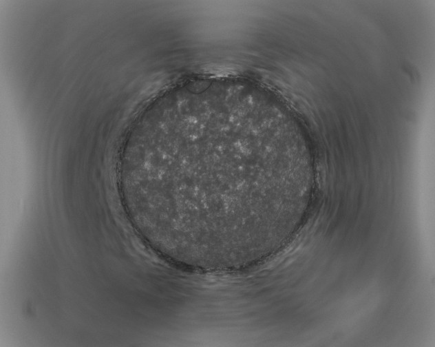 X0000113551393200910091254