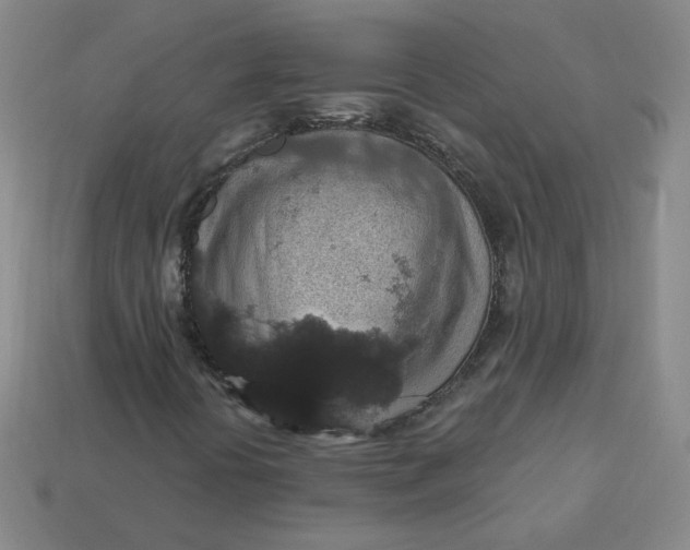 X0000113551394200910091254