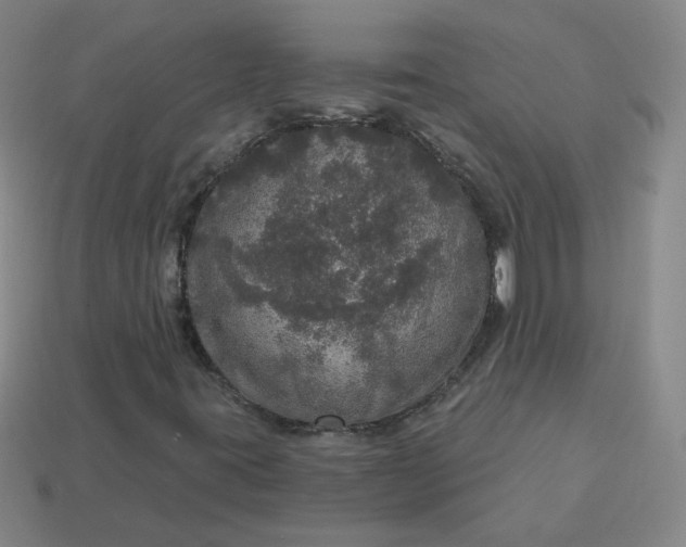 X0000113551395200910091254