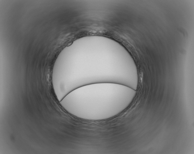 X0000113551396200910091254