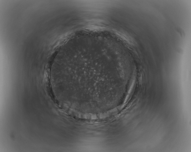 X0000113551397200910091254