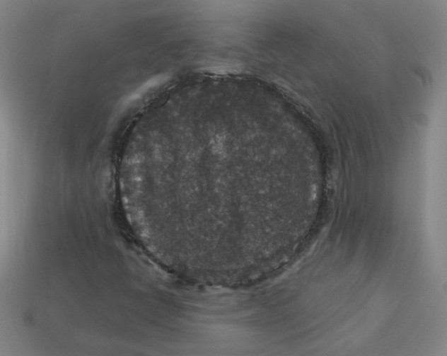 X0000113551398200910091254