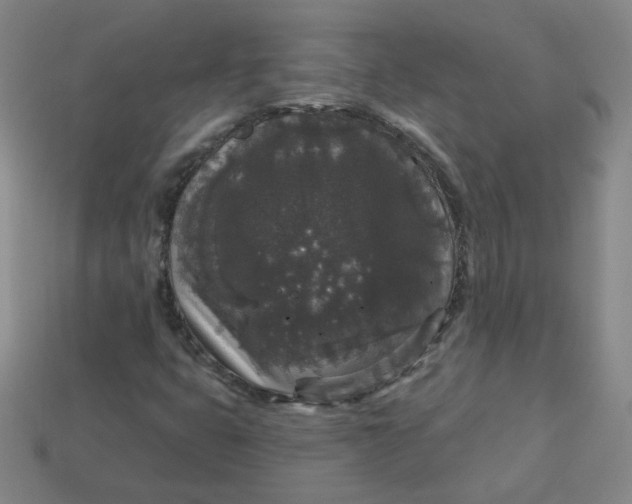 X0000113551399200910091254