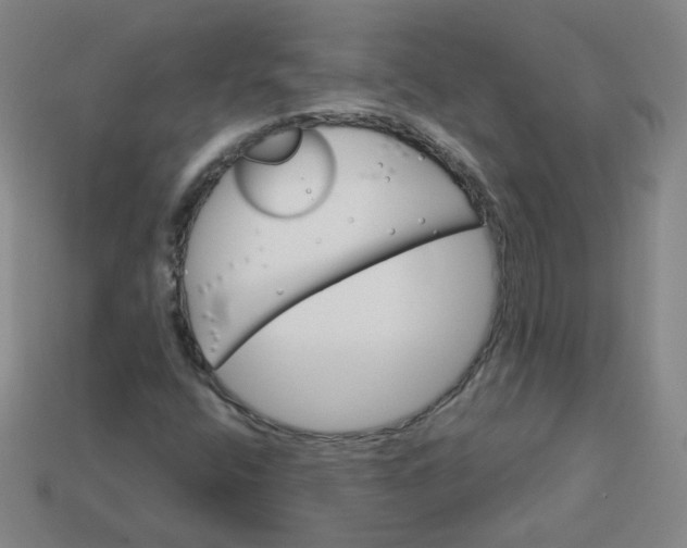 X0000113551400200910091254