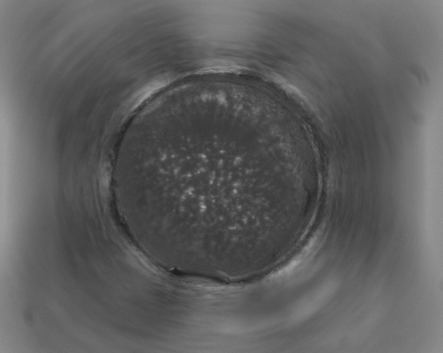 X0000113551401200910091254